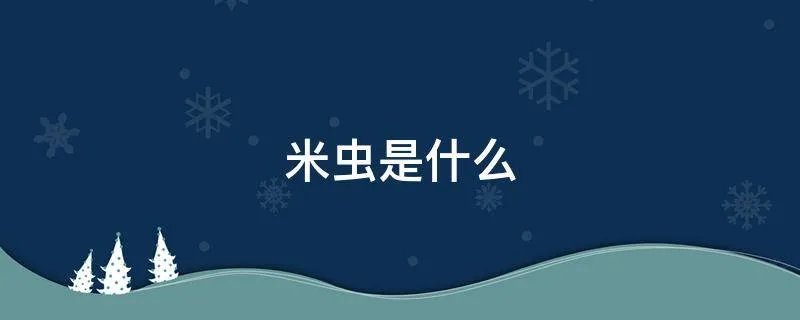 米虫是什么