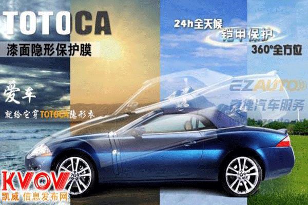全车犀牛皮要多少钱