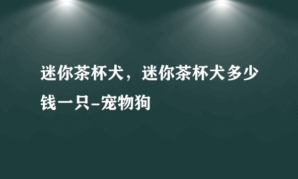 迷你茶杯犬，迷你茶杯犬多少钱一只-宠物狗