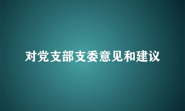 对党支部支委意见和建议