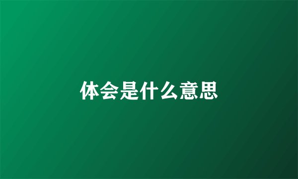 体会是什么意思
