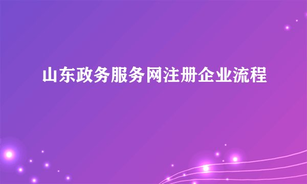 山东政务服务网注册企业流程