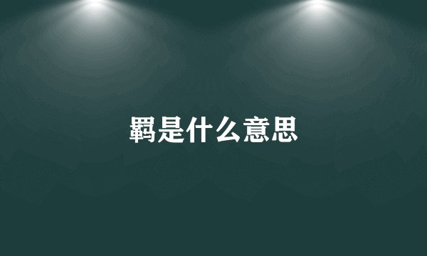 羁是什么意思