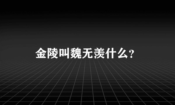 金陵叫魏无羡什么？
