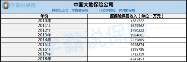 中国大地保险公司