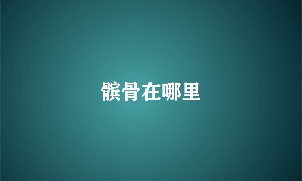 髌骨在哪里