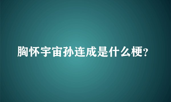胸怀宇宙孙连成是什么梗？