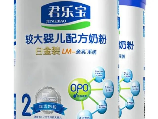 2段奶粉排行榜前10强有哪些?