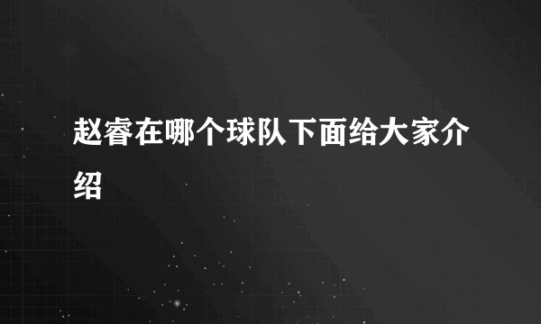 赵睿在哪个球队下面给大家介绍