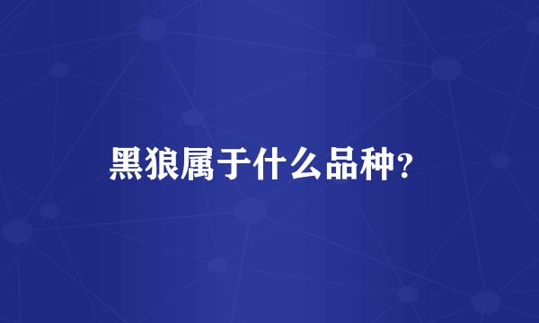 黑狼属于什么品种？