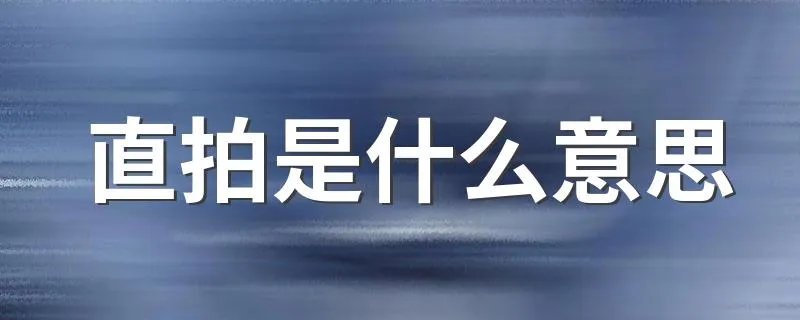 直拍是什么意思 怎么解释直拍啊？