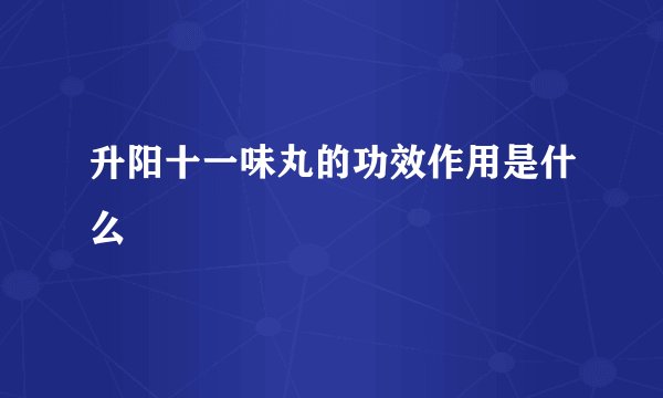 升阳十一味丸的功效作用是什么