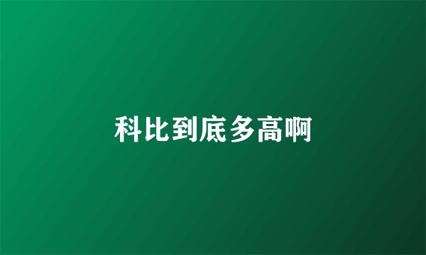科比到底多高啊