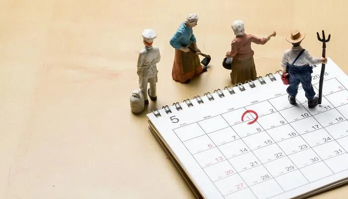 2019年是什么年 2019年到底是什么年