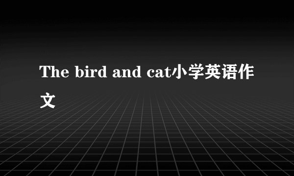 The bird and cat小学英语作文