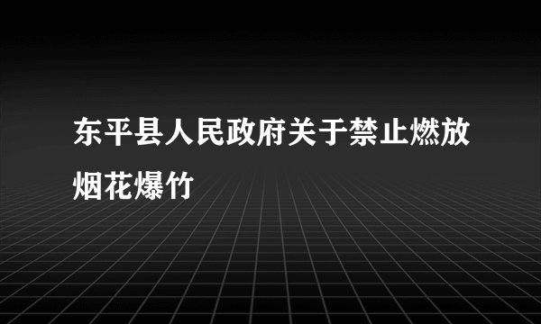 东平县人民政府关于禁止燃放烟花爆竹