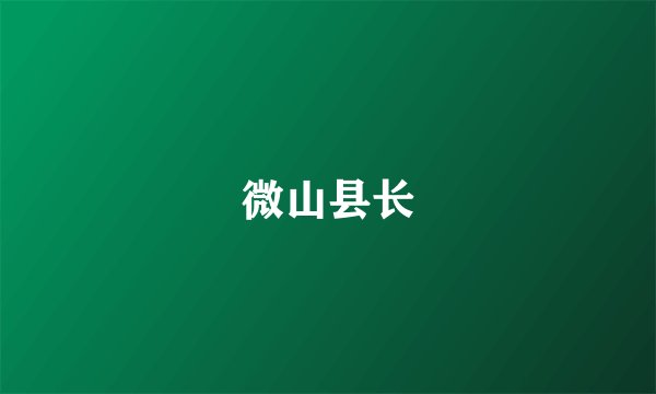 微山县长