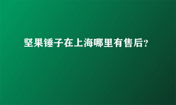 坚果锤子在上海哪里有售后？