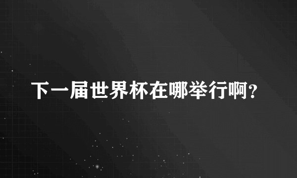 下一届世界杯在哪举行啊？
