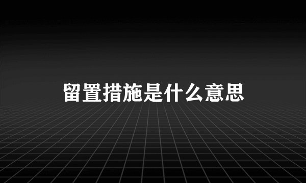 留置措施是什么意思