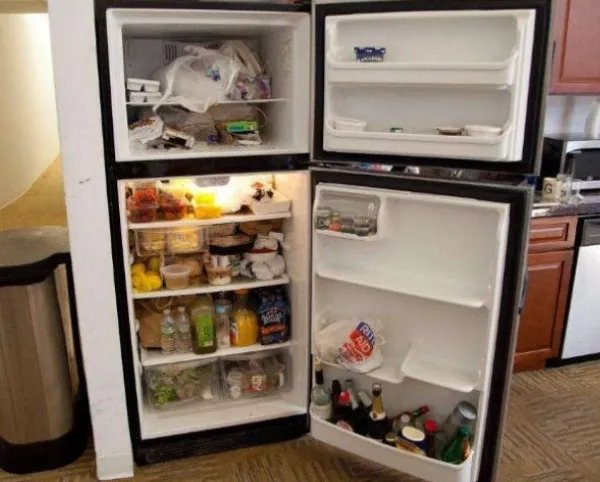 fridge怎么读