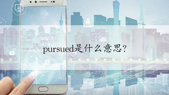 pursued是什么意思？