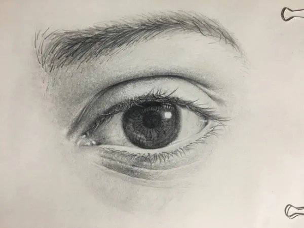 睛的组词