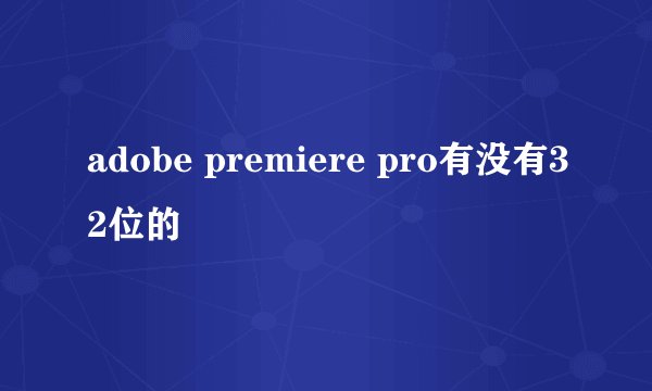 adobe premiere pro有没有32位的