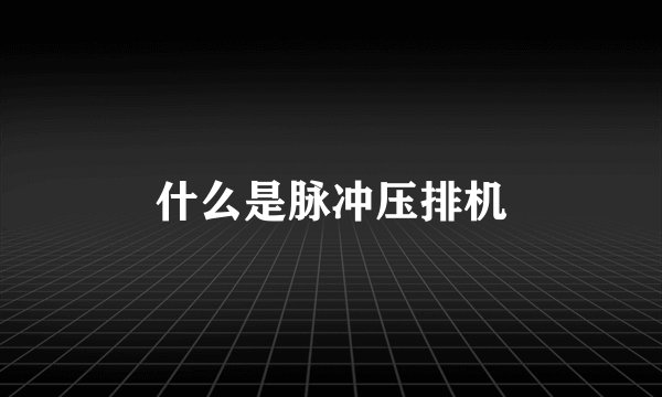 什么是脉冲压排机