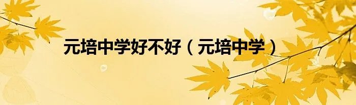 元培中学好不好（元培中学）