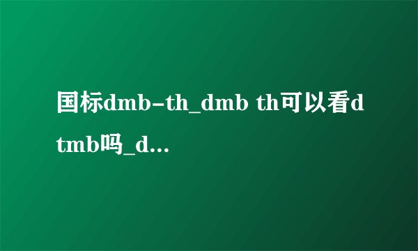 国标dmb-th_dmb th可以看dtmb吗_dmb在中国可以用不