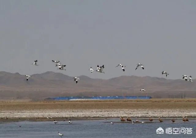 张家口市沽源县有哪些好玩的地方值得推荐?