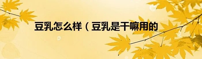 豆乳怎么样（豆乳是干嘛用的