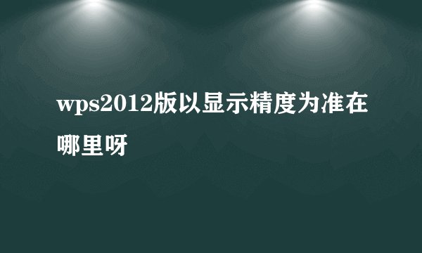 wps2012版以显示精度为准在哪里呀