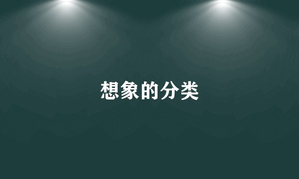 想象的分类