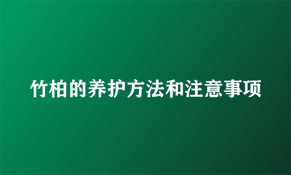 竹柏的养护方法和注意事项