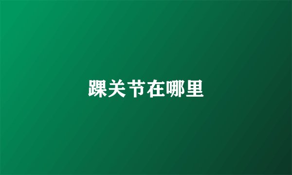 踝关节在哪里