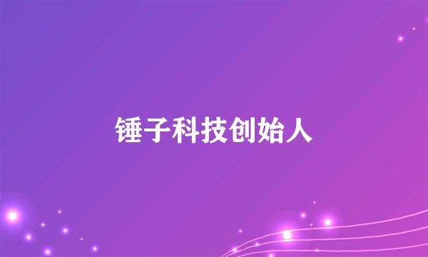 锤子科技创始人