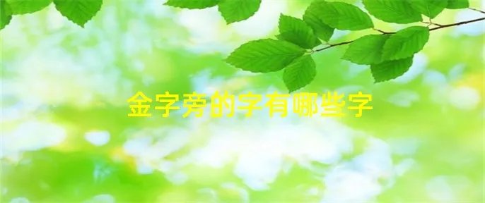 金字旁的字有哪些字