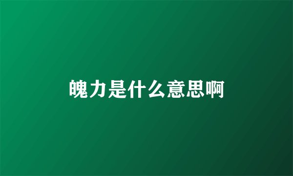 魄力是什么意思啊