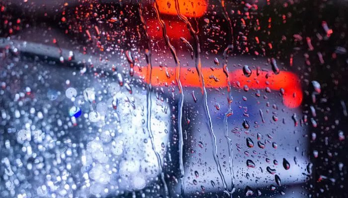 直击重庆暴雨袭城:大蛇被冲到马路 今局部仍有暴雨