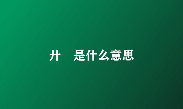 廾匸是什么意思