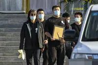 于月仙车祸地一年上百头牲畜被撞死,这条路段的事故率为何如此频发?
