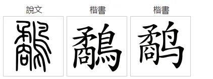 鹬怎么读