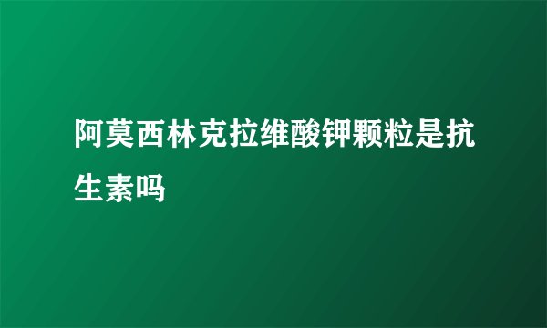 阿莫西林克拉维酸钾颗粒是抗生素吗