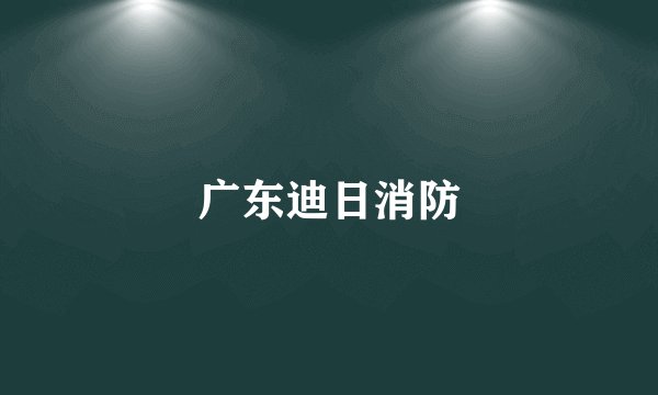 广东迪日消防