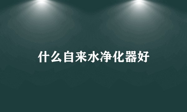 什么自来水净化器好