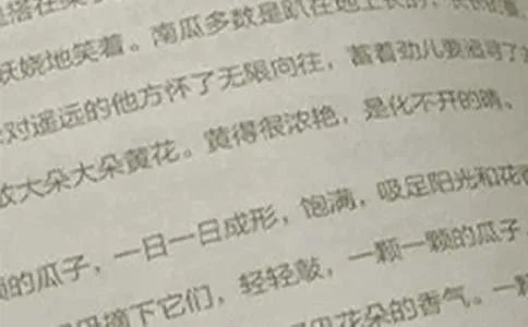 四年级上册的语文期末试卷及答案