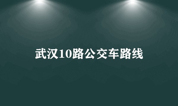 武汉10路公交车路线