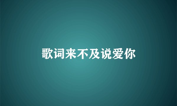 歌词来不及说爱你